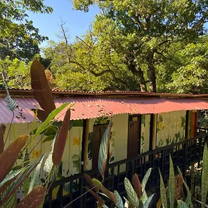 Auberge de jeunesse Mariposas, Minca